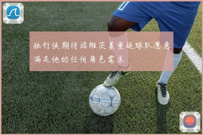 独行侠期待诺维茨基重返球队愿意满足他的任何角色需求